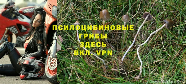 дурь Алзамай