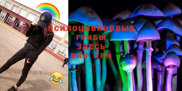 дурь Алзамай